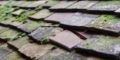 Pen Y Banc roof repair costs